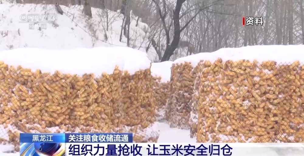 1700809843565060.jpg 20231124_143531_006.jpg