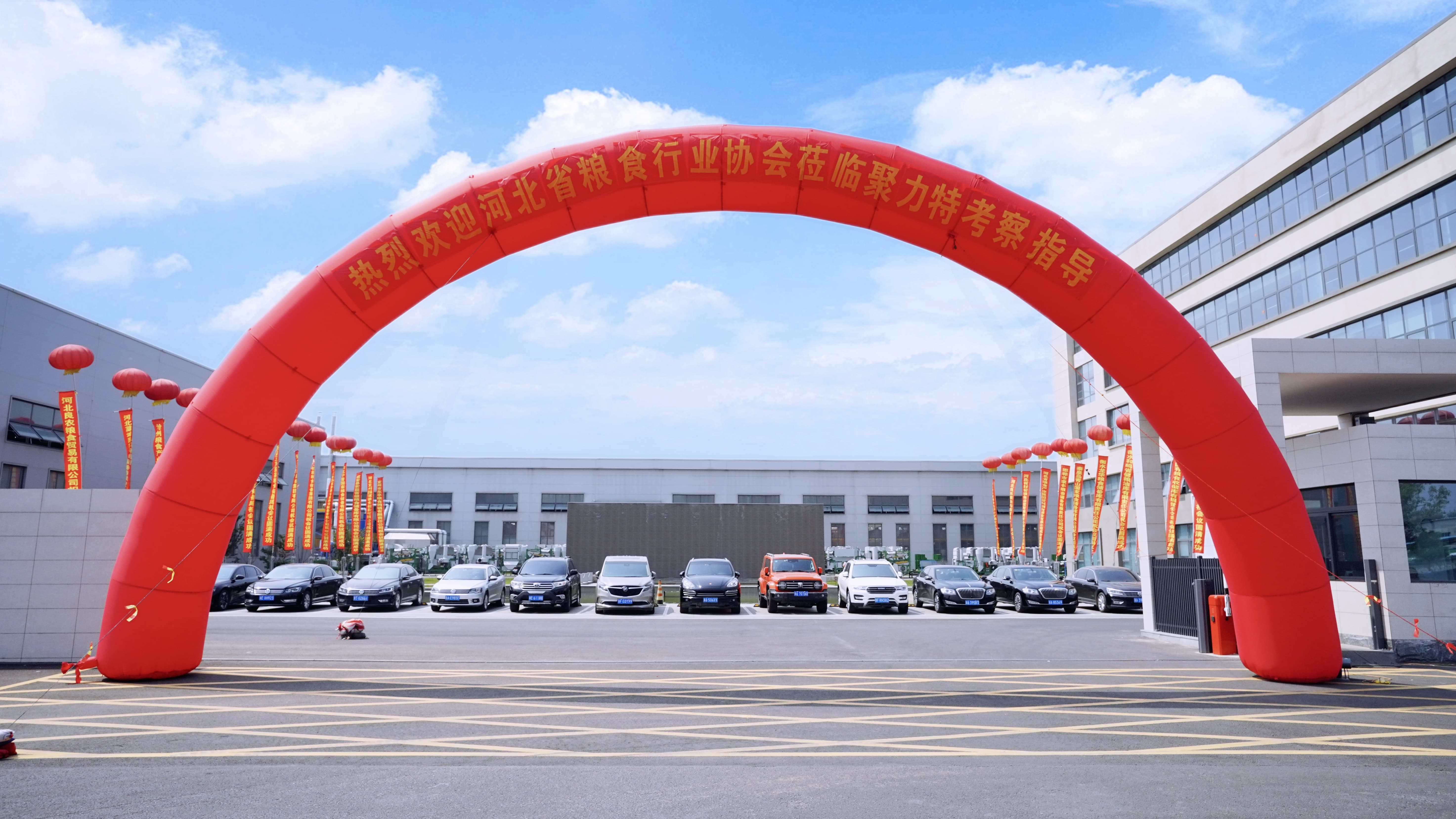 1749781474804449.jpg 1749781474804449.jpg